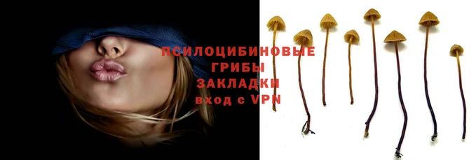 альфа пвп Каменка