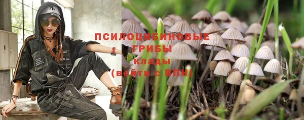 синтетический гашиш Каменногорск