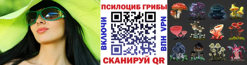 Купить где  Жуков  Псилоцибиновые грибы ЛСД 